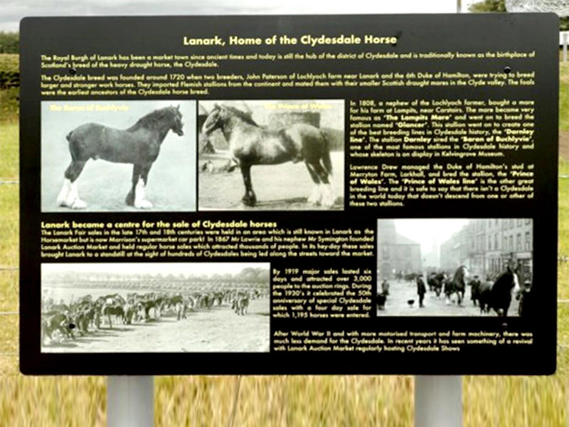 Clydesdale Horse Information Board
