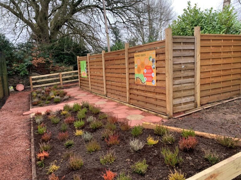 Castlebank bee enclosure