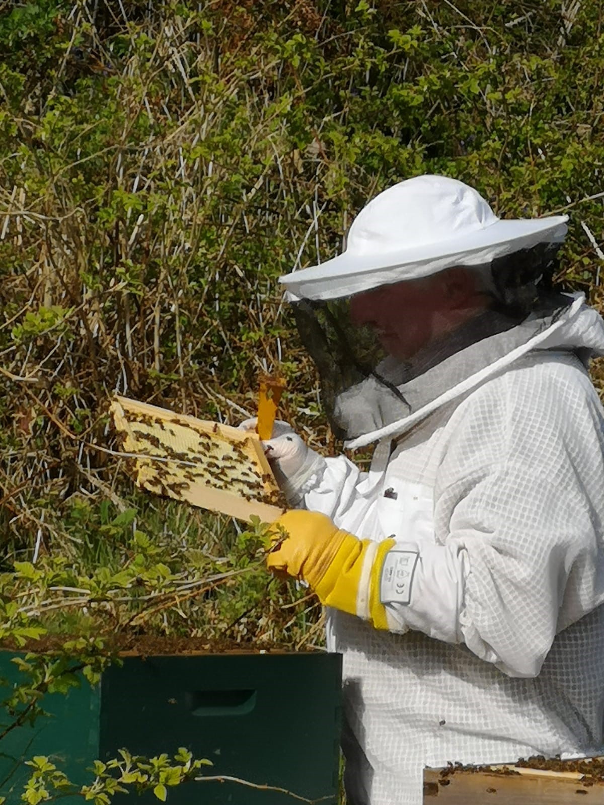Castlebank beekeeper